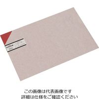 光 エンビ板 赤 2×300×450mm EB342-2 1個(1枚) 112-9550（直送品）