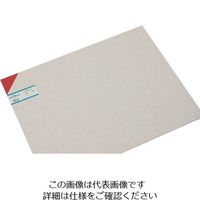 光 エンビ板 赤 3×450×600mm EB463-2 1枚 820-0887（直送品）