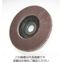 柳瀬 ヤナセ ユニTOPディスク(15タイプ) 600 TOP100A 1セット(10枚) 812-2344（直送品）