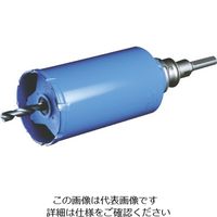 ボッシュ ガルバウッドSDSセット29mm PGW-029SDS 1本(1セット) 810-7759（直送品）