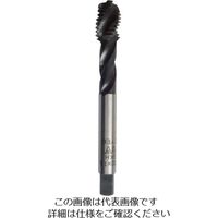 イシハシ精工 ISF 深穴用スパイラルタップ M8X1.25 DH-SPT-M8X1.25 1本 502-1553（直送品）