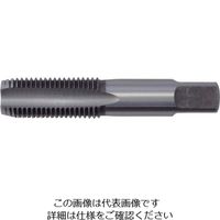 イシハシ精工 ISF ガスタップ 1/2PF IS-S-PF012 1本 505-2548（直送品）