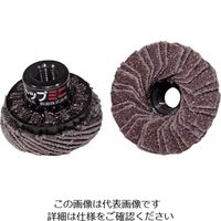 柳瀬 ヤナセ TOPミニディスク 30xM7xP0.75 #100 TOP30A6 1セット(5個) 812-6738（直送品）