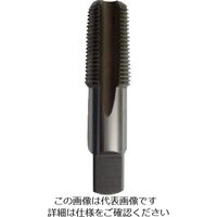 イシハシ精工 ISF SKH ガスタップ 1/2PF IS-H-PF012 1本 503-6437（直送品）