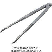 盛光 コンパス 300 BKKN-0300 1個 123-8759（直送品）