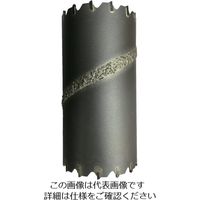 ハウスビーエム ハウスB.M リョーバコアドリルヘッドのみ 100mm DRH-100 1本 825-7486（直送品）