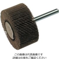 柳瀬 ヤナセ 軸付フラップホイール 60x30x6 #100 UF60306 1セット(10本) 812-7008（直送品）