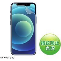 サンワサプライ iPhone 12 mini用液晶保護指紋防止光沢フィルム PDA-FIPH20MFP 1枚（直送品）