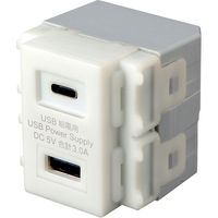 サンワサプライ 埋込USB給電用コンセント　(TYPEC搭載) TAP-KJUSB1C1W 1個（直送品）