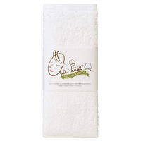 浅野撚糸 エアーかおる今治 ダディボーイ エニータイム 1枚