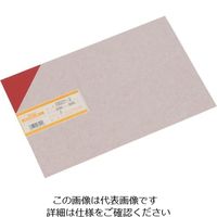 光 エンビ板 赤 1×200×300mm EB231-2 1枚 820-0785（直送品）
