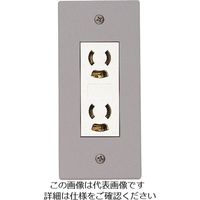 マサル工業 マサル エムケーダクト付属品 ダクトコンセント 2号 2個用抜止め接地 グレー DCA231 1個 130-0285（直送品）