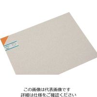 光 エンビ板 オレンジ透明3×450×600mm EB463-9 1枚 820-0894（直送品）