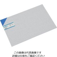 光 エンビ板 青 3×300×450mm EB343-6 1枚 820-0843（直送品）