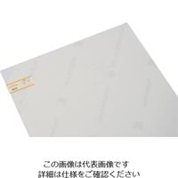 光 エンビ板 乳白半透明910×600 EB961-12 1個(1枚) 849-4058（直送品）