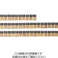 光 カットシート文字 キャリエーター S 3 CL30S-3 1セット(5枚) 223-8276（直送品）