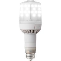 岩崎電気 岩崎 LEDioc LEDライトバルブF 79W (昼白色) (E39口金形) LDS79N-G-E39FA 1本（直送品）