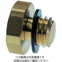 千代田通商 チヨダ テラピンブラインドプラグ M5X0.8 (10個入) M5-P 1袋(10個) 808-2370（直送品）