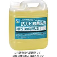 大一産業 ファースト・モルドクリーナー 4L 61-3815-01 1本（直送品）