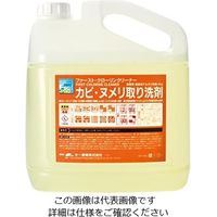 大一産業 ファースト・クローリンクリーナー 4kg 61-3815-46 1本（直送品）