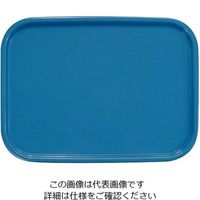 橋本達之助工芸 カラーコレクショントレー M アクアブルー 61-6810-65 1個（直送品）