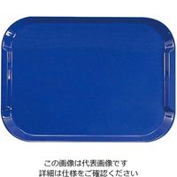 橋本達之助工芸 ネオトレー NS ブルー 61-6811-02 1個（直送品）