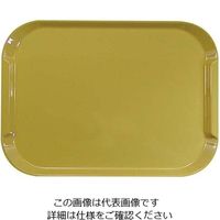 橋本達之助工芸 ネオトレー NS イエロー 61-6811-04 1個（直送品）