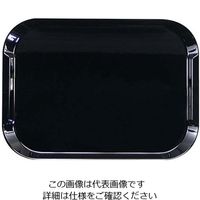 橋本達之助工芸 ネオトレー NS ブラック 61-6811-06 1個（直送品）