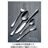 ワダコーポレーション 18ー8 オークランド アイスクリームスプーン 61-7611-22 1個（直送品）