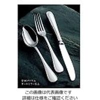 アズワン 18-8 ウェリントン ティースプーン 1個 61-7612-35（直送品）