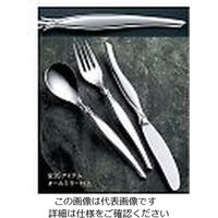 サクライ 18ー8 フローライン アイスクリームスプーン 61-7615-53 1個（直送品）