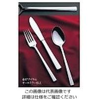 トーダイ 18ー8 オーロラ ティースプーン 61-7617-67 1個（直送品）