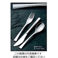 江部松商事 18ー8 ラプソディー ケーキスプーン 61-7619-07 1個（直送品）