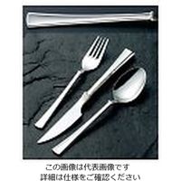 江部松商事 18ー8 シンフォニー ラージティースプーン 61-7621-49 1個（直送品）