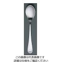 江部松商事 抗菌 シャイニー ティースプーン 61-7626-85 1個（直送品）