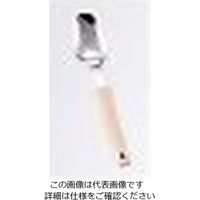 ワダコーポレーション 18-8 味道楽 ティースプーン アイボリー 1個 61-7629-91（直送品）