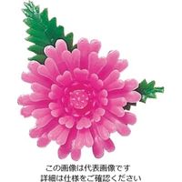 江部松商事（EBEMATSU） プリティフラワー ミニ菊