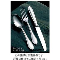 アズワン 18-8 ウィンザー テーブルナイフ（H・H）ノコ刃付 1個 61-7977-27（直送品）