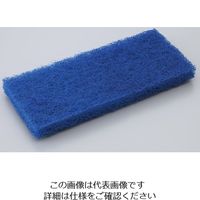 カーライルフードサービスプロダクツ スクラブパッド ハード 4072500 1袋(1個) 62-1613-60（直送品）