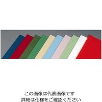 遠藤商事 テーブルクロス オリビア 100cm角 ピュアレッド (50枚入) 62-6301-99 1ケース(50枚)（直送品）