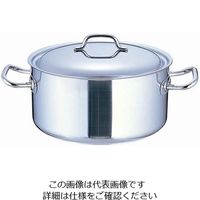 Sitram Usa シットラム サイバノックス 半寸胴鍋 (蓋付) 24cm 035205 62-6334-77 1個（直送品）