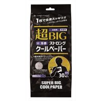 サイキョウ・ファーマ 超BIGストロングクールペーパー ボディシート 4562378462874 1個(30枚)（直送品）