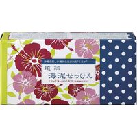 地の塩社 琉球海泥せっけん