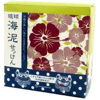 地の塩社 琉球海泥せっけん 4571243110239 1個(100G)（直送品）