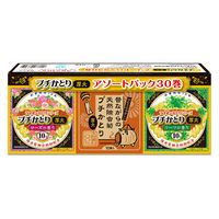 ライオンケミカル ライオンプチかとり線香アソートパック 4900480286559 1個(30枚)（直送品）