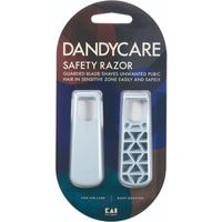 貝印 DANDYCARE ダンディケア デリケートゾーン用かみそり 2本入 4901331003110 1個(2本)（直送品）