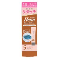 三宝 テンスターヘナ リタッチカラートリートメント ブラウン65G 4901646146328 1個(65G)（直送品）