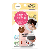 三宝 テンスター　白髪用カラースティック　ＢＲ 4901646146588 1個(15G)（直送品）