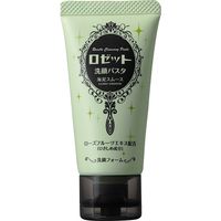 ロゼット ロゼット洗顔パスタ海泥スムースミニ 4901696536865 1個(30G)（直送品）