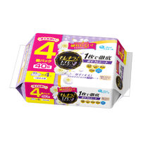 大王製紙 キレキラ！トイレクリーナー　１枚で徹底おそうじシート　クリーンフローラル　つめかえ用 4902011110340 1個(40枚)（直送品）